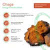 Chaga – THE RISE COFFEE PODS