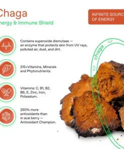Chaga – THE RISE COFFEE PODS