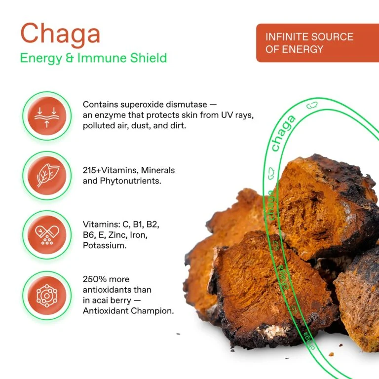 Chaga – THE RISE COFFEE PODS