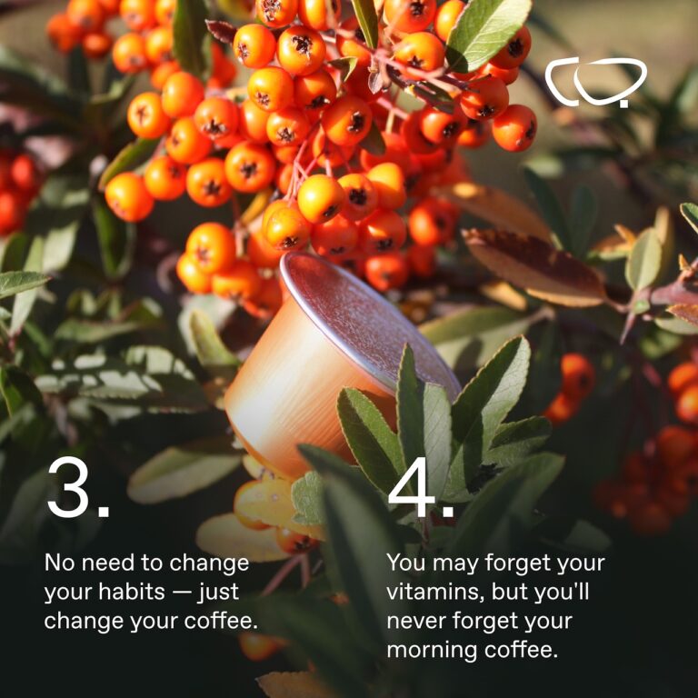 Chaga – THE RISE COFFEE PODS